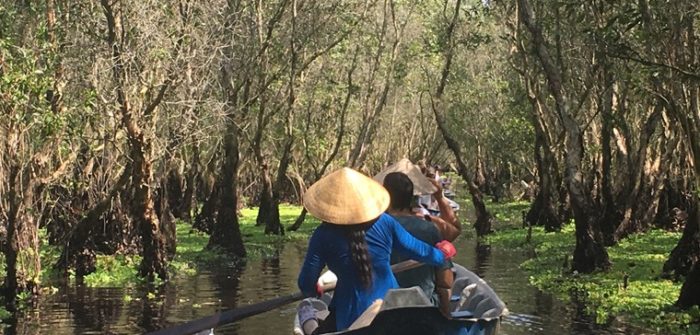 rowboat on river with mangroves