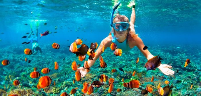 woman snorkelling with colourful fish