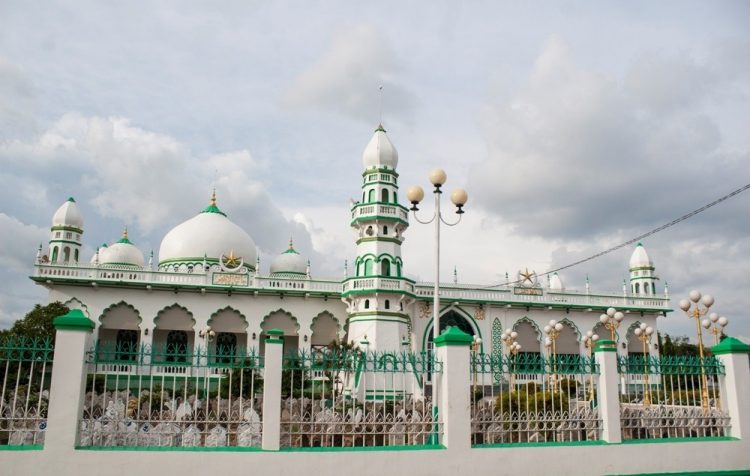 Tra Su Cajuput Forest Masjid Jamiul Azhar