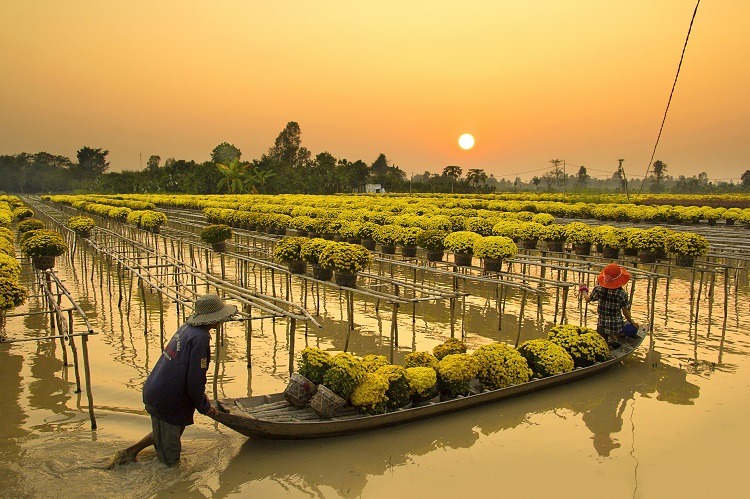 Mekong River Delta