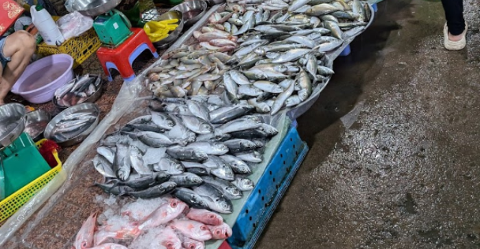 a local fish market