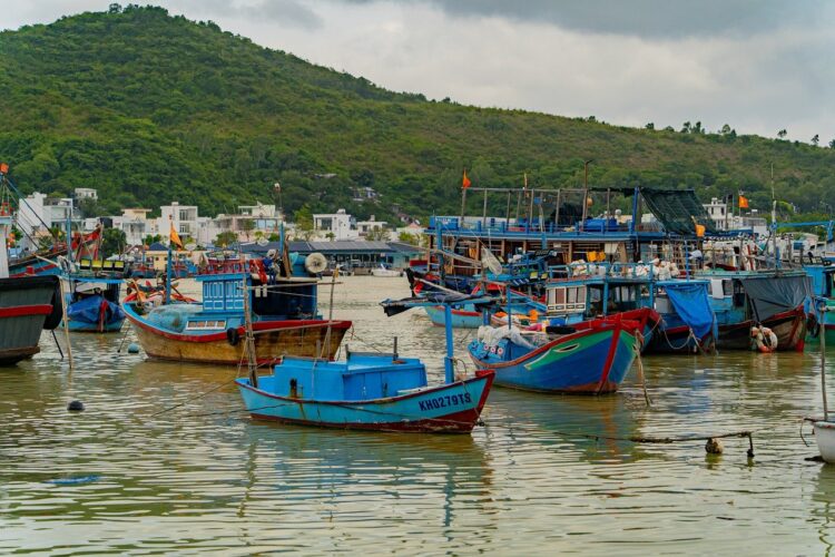 Boats docking in Nha Trang 