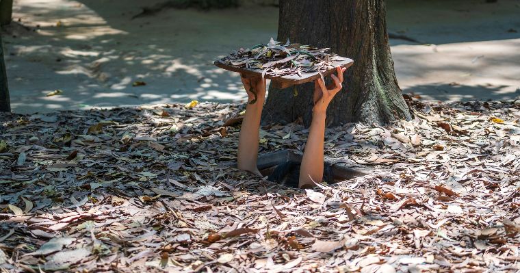 a hidden shelter covered by tree leaves 