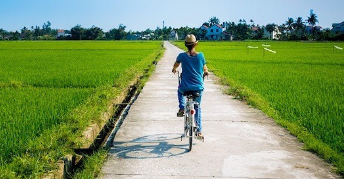 a woman riding a bike amid rice paddies 